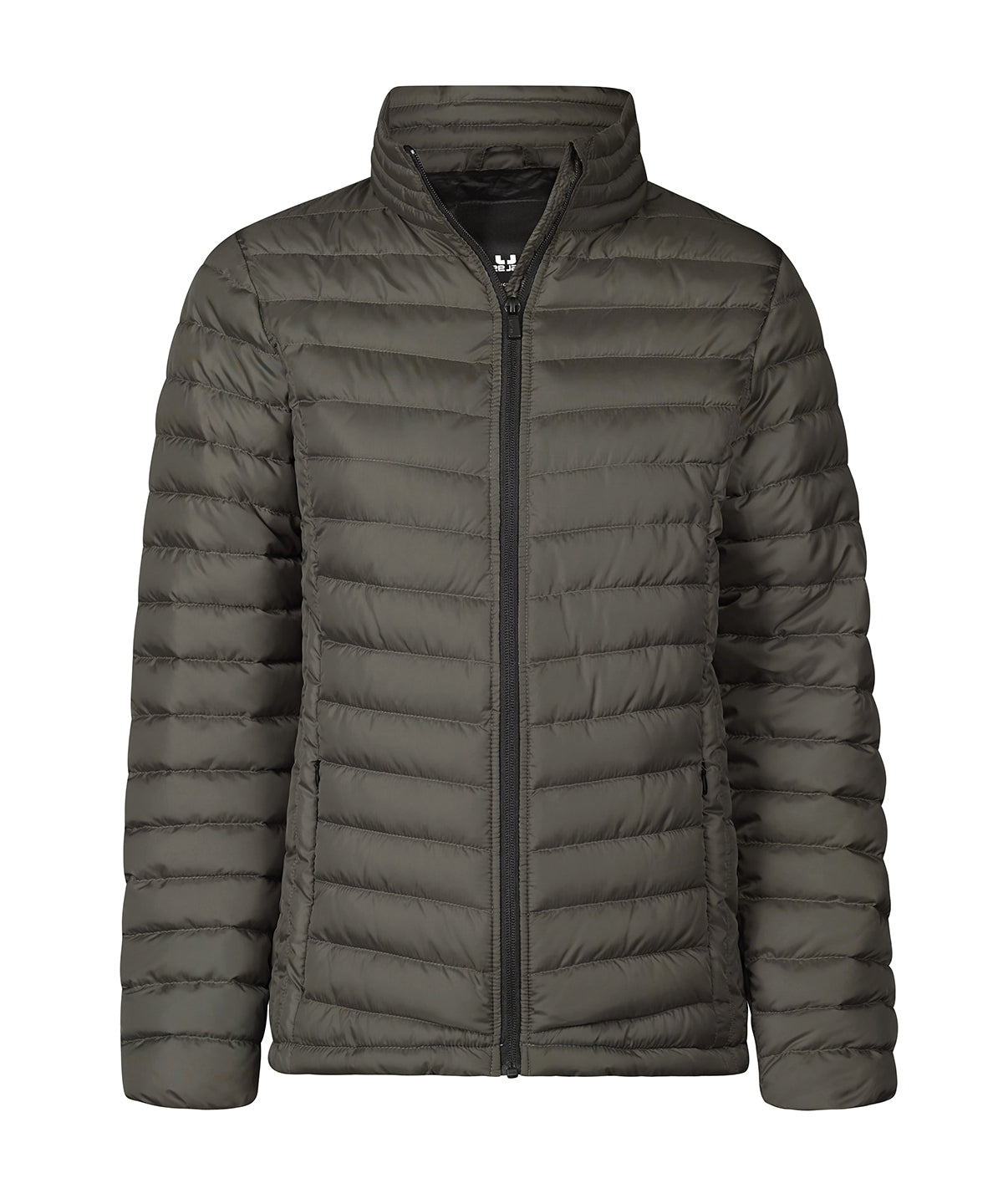 Women’s Zepelin jacket (9631) — Shadow